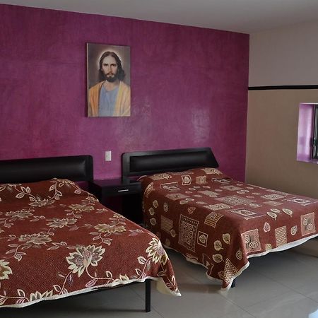 Hotel Colon Сан-Хуан-де-лос-Лагос Екстер'єр фото
